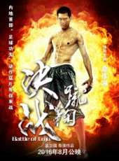 王瑾演過的電影電視劇線上看_影視作品大全_好看的明星