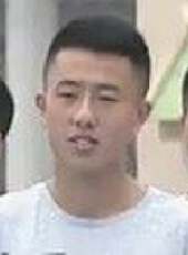 勇者大沖關最新一期線上看_全集完整版高清線上看_好看的綜藝