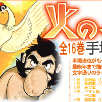 火之鳥圖片照片_火之鳥