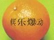 鮮樂爆動