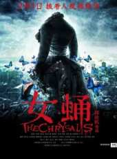 高蓓蓓演過的電影電視劇線上看_影視作品大全_好看的明星