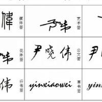 尹曉偉圖片照片_尹曉偉