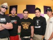 Zebrahead圖片照片