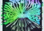 CHIPBO歌曲歌詞大全_CHIPBO最新歌曲歌詞