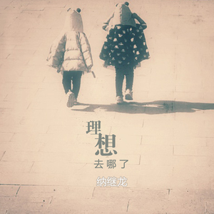 理想去哪了