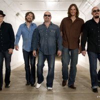 The Fabulous Thunderbirds圖片照片_The Fabulous Thunderbirds