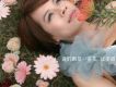 江美琪歌曲歌詞大全_江美琪最新歌曲歌詞