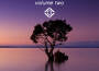 Memories, Vol. 2: Transient專輯_LockynMemories, Vol. 2: Transient最新專輯