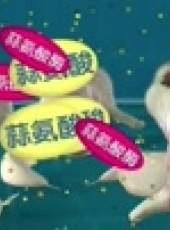 綜藝萬象最新一期線上看_全集完整版高清線上看_好看的綜藝