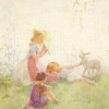 The Daisy圖片照片_The Daisy