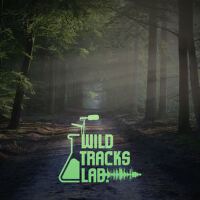 Wildtracks Lab圖片照片_照片寫真
