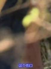 金炳萬的叢林法則最新一期線上看_全集完整版高清線上看_好看的綜藝