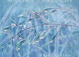 Rain Stories專輯_Marika TakeuchiRain Stories最新專輯