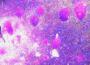 mixed matches歌曲歌詞大全_mixed matches最新歌曲歌詞