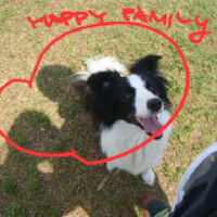 TTMA圖片照片_TTMA