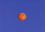 The Naked Tangerines歌曲歌詞大全_The Naked Tangerines最新歌曲歌詞