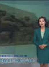 遼寧新聞最新一期線上看_全集完整版高清線上看 - 蟲蟲綜藝