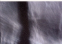 Dream Sequence專輯_Kenny WheelerDream Sequence最新專輯