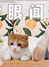 花花與三貓最新一期線上看_全集完整版高清線上看_好看的綜藝