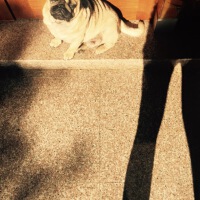 Little Brother圖片照片_Little Brother