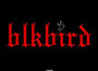 BlkBird (Explicit)專輯_LundBlkBird (Explicit)最新專輯