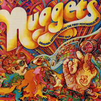 Nuggets: Original Artyfacts From The First Psychedelic Era 1965-1968 Disc 1專輯_The Amboy DukesNuggets: Original Artyfacts From The First Psychedelic Era 1965-1968 Disc 1最新專輯