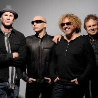 Chickenfoot圖片照片_Chickenfoot