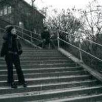 Laurel Music圖片照片_Laurel Music