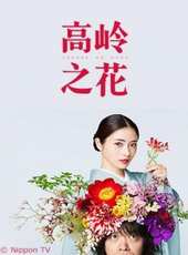 最新2018電視劇_好看的2018電視劇大全/排行榜_好看的電視劇
