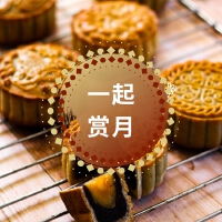 月餅歌曲歌詞大全_月餅最新歌曲歌詞