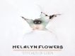 Hybrid Moments歌詞_Helalyn FlowersHybrid Moments歌詞