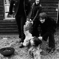 The Dead Weather圖片照片_The Dead Weather