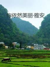 最新2015勵志電影_2015勵志電影大全/排行榜_好看的電影