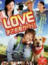 成海璃子演過的電影電視劇線上看_影視作品大全_好看的明星