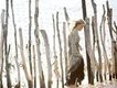 Lisa Ekdahl歌曲歌詞大全_Lisa Ekdahl最新歌曲歌詞