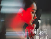 迴轉木馬的孤單
