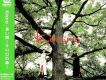 長い間~Kiroroの森~
