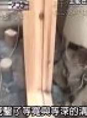全能住宅改造王最新一期線上看_全集完整版高清線上看_好看的綜藝