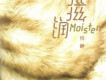 何靜歌曲歌詞大全_何靜最新歌曲歌詞