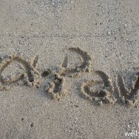 α·Pav圖片照片_α·Pav