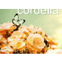 cordelia最新歌曲_最熱專輯MV_圖片照片