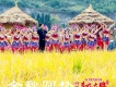 金秋圓夢(丹寨萬達小鎮《豐收大典》主題歌)