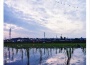 drama專輯_[.que]drama最新專輯