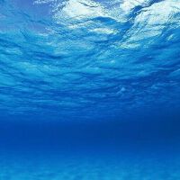 深海圖片照片_深海