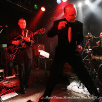 Royal Crown Revue圖片照片_Royal Crown Revue