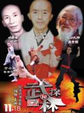 武林探秘線上看_高清完整版線上看_好看的電影