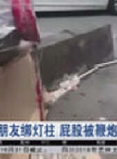 成都全接觸最新一期線上看_全集完整版高清線上看 - 蟲蟲綜藝