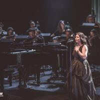 The London Festival Royal Orchestra最新專輯_新專輯大全_專輯列表