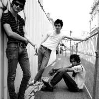 BB Brunes圖片照片_BB Brunes