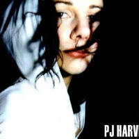 PJ Harvey圖片照片_PJ Harvey